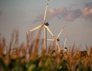 Korytnica Wind Farm