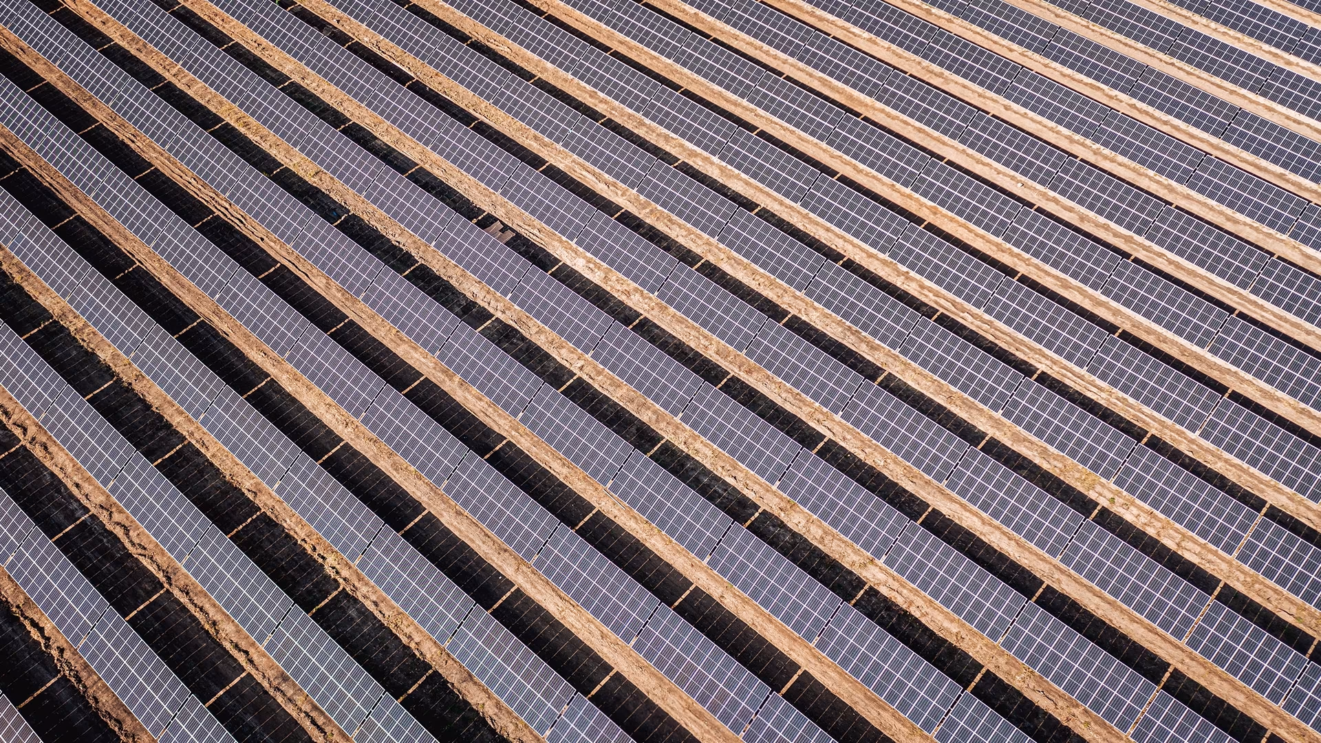 Electrum Completes the Construction of Gryf Photovoltaic Farm in Greater Poland