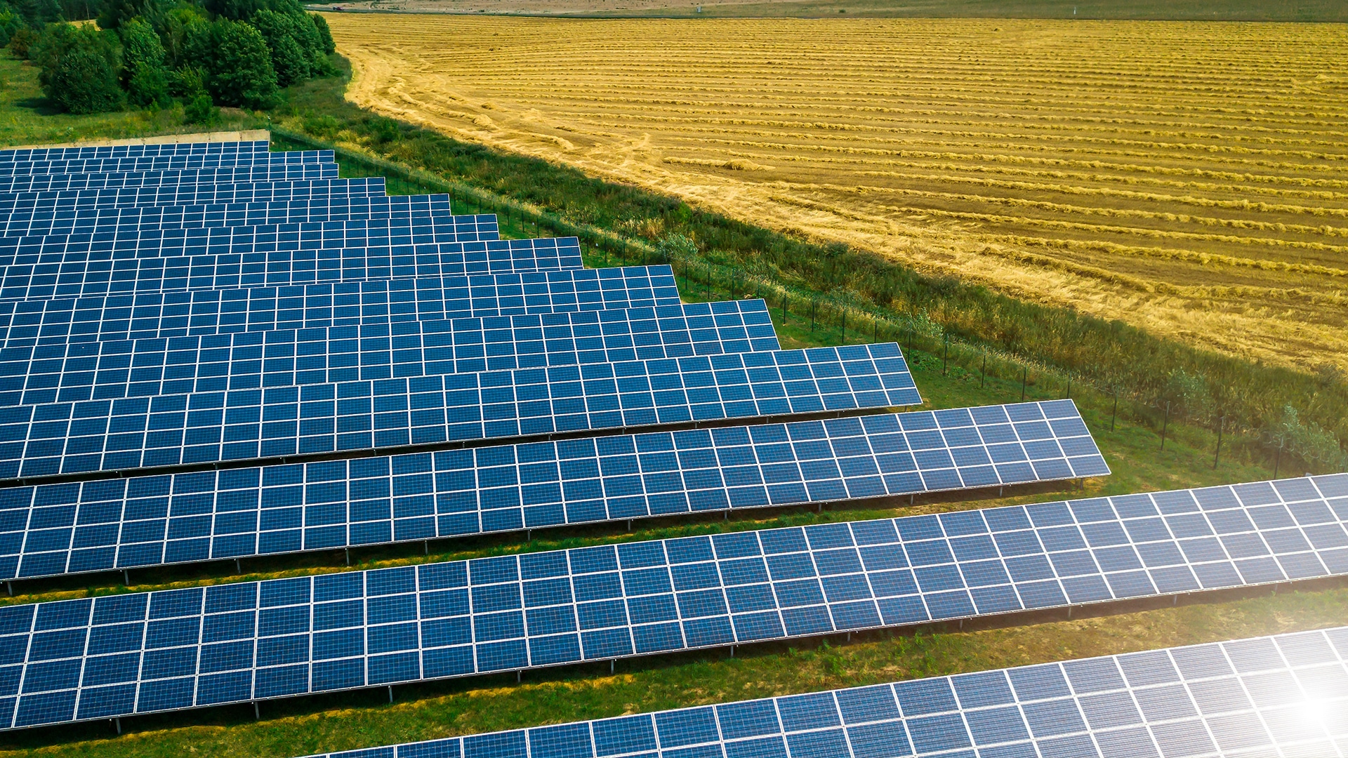 Electrum to Execute One of Poland’s Largest Photovoltaic Projects Using Solar Trackers