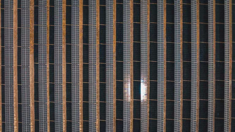 Farma słoneczna Gryf wybudowana przez Electrum.