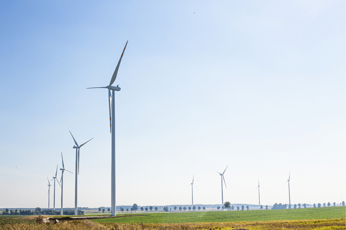 Referencje dla Electrum od EDP Renewables – o Farmie Wiatrowej Kozłowo