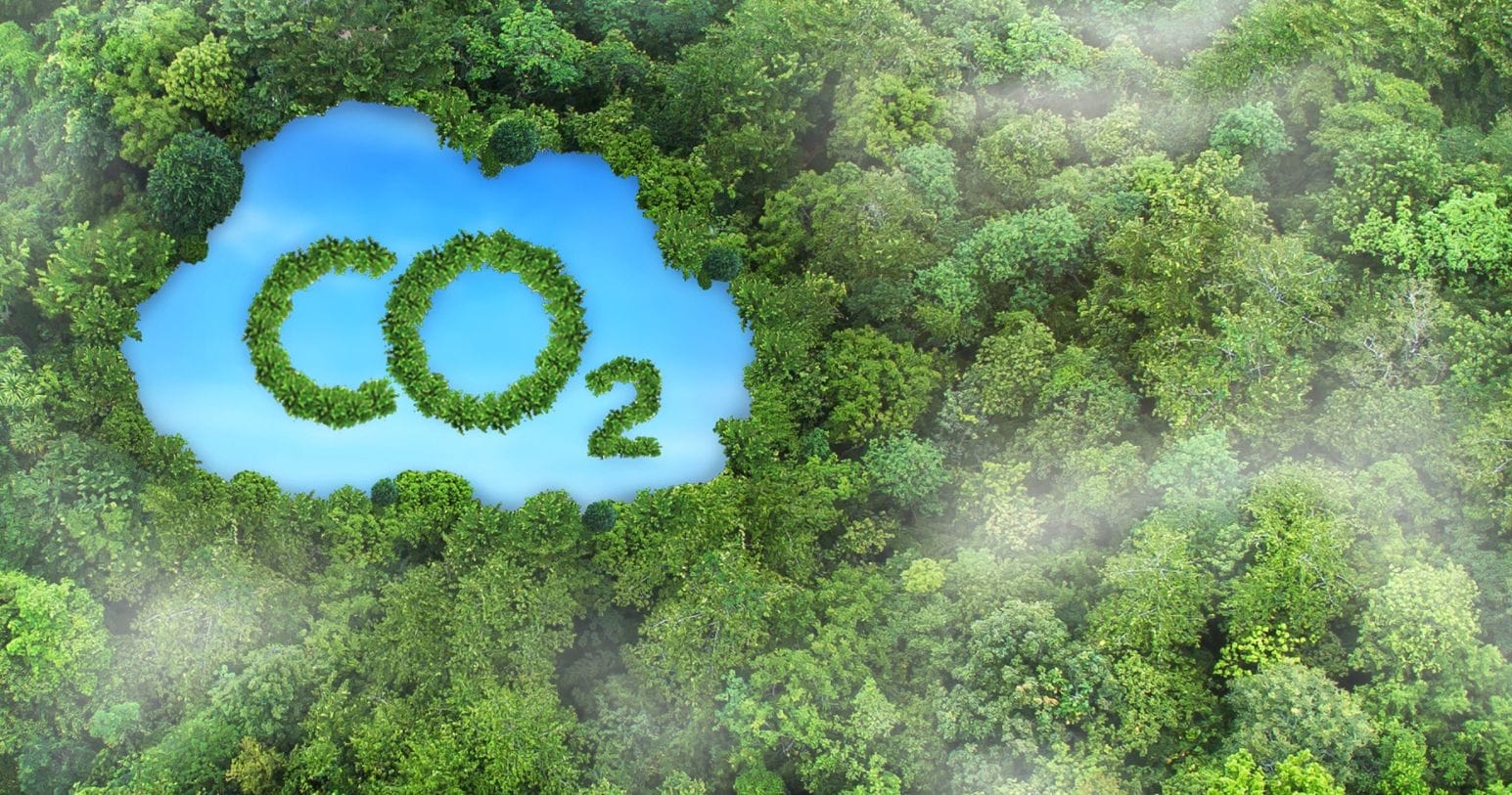 Czym jest dekarbonizacja przemysłu? 