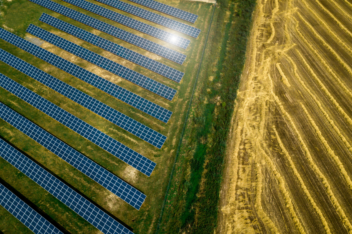 Electrum zrealizuje farmę fotowoltaiczną Grabno o&nbsp;mocy 100 MWp z&nbsp;wdrożeniem zaawansowanych systemów cyfrowych